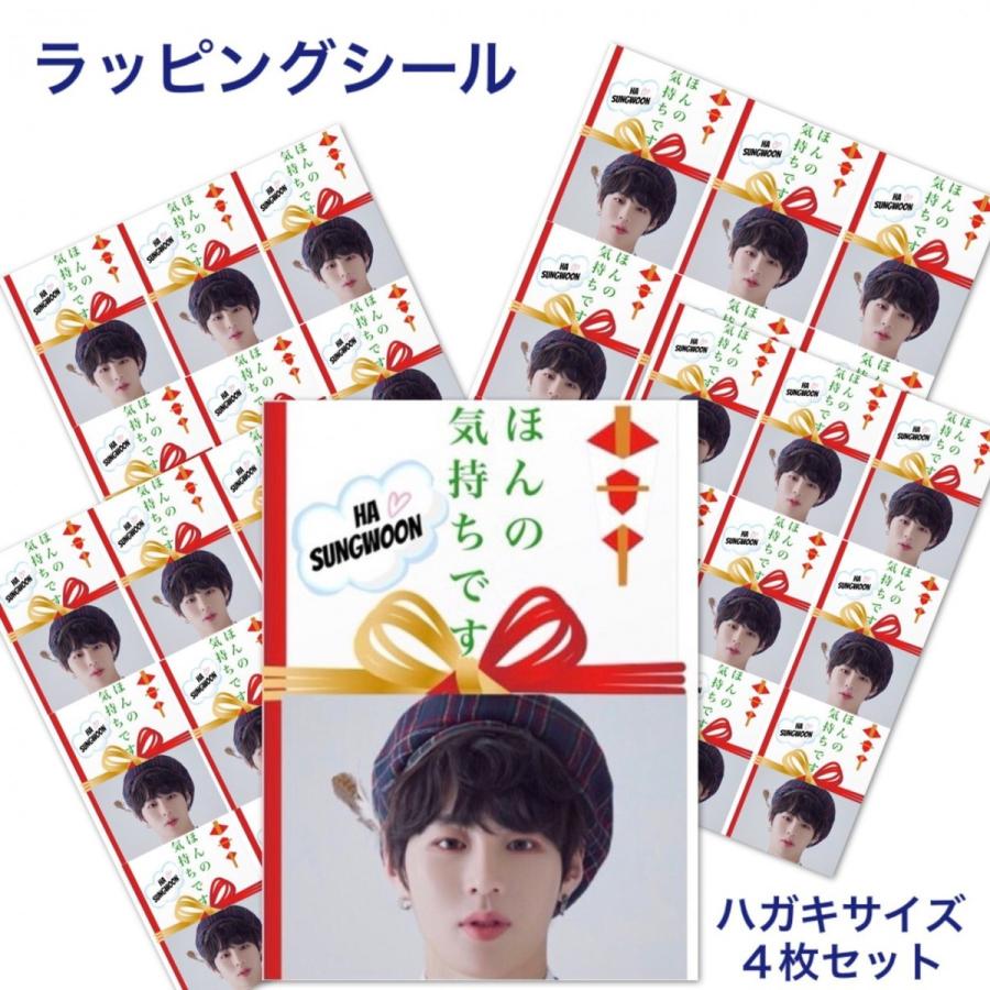 4枚セット ハソンウン WANNAONE ワナワン ラッピング シール
