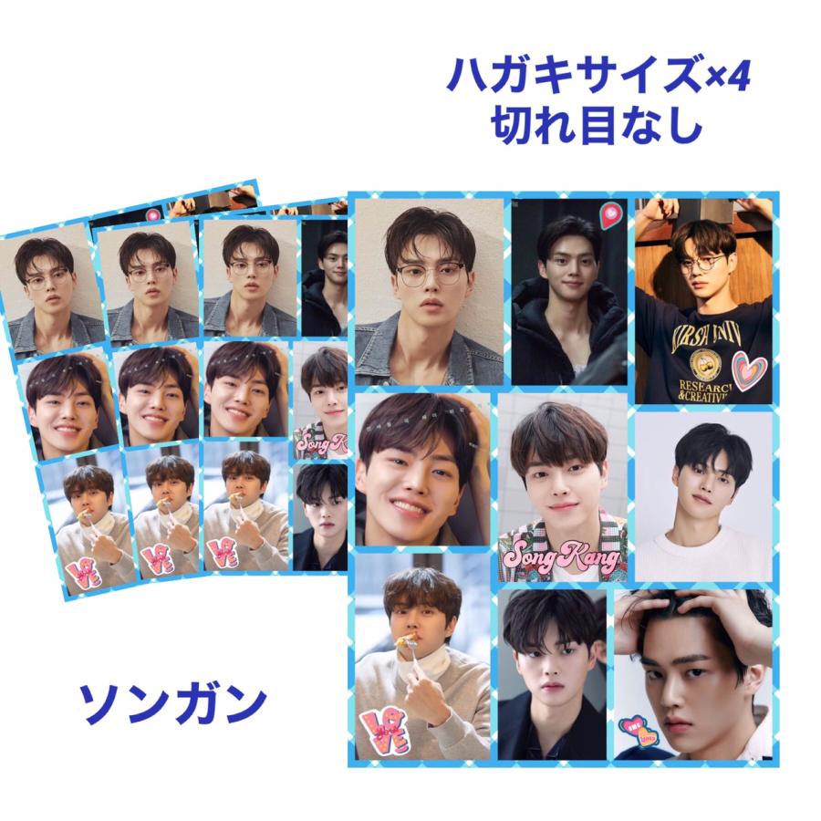 4枚セット ソンガン シール ステッカー ハガキサイズ 韓流 グッズ