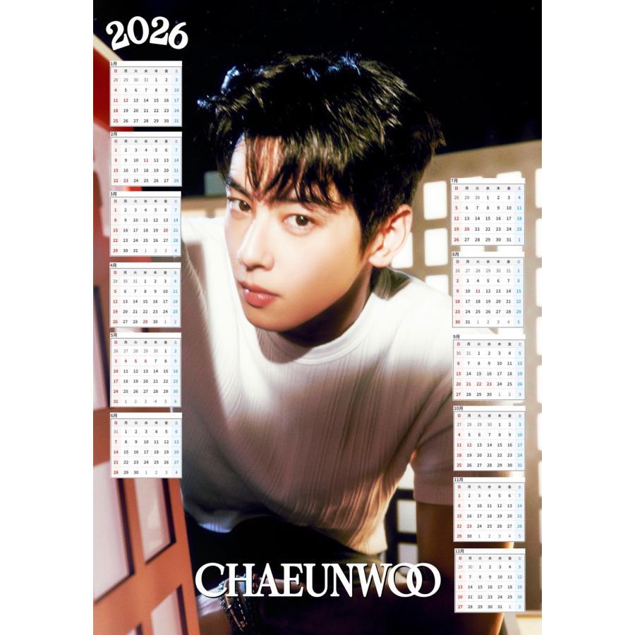 チャウヌ ASTRO アストロ 2026 ラミネート カレンダー はがきサイズ 韓