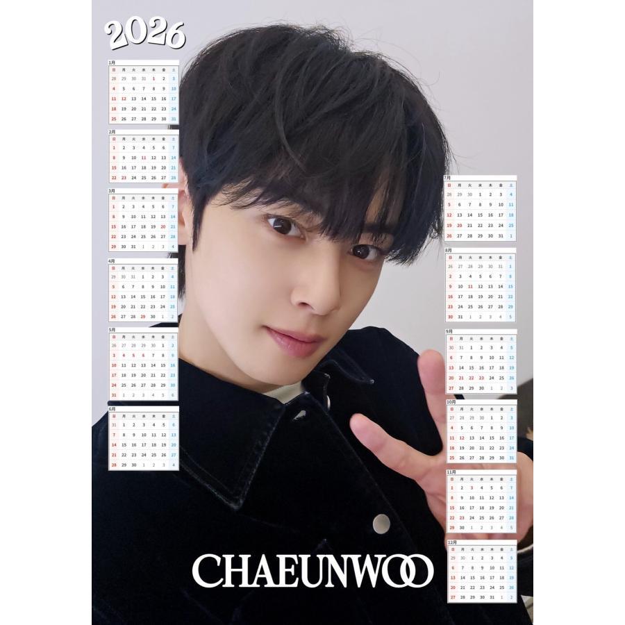 チャウヌ ASTRO アストロ 2026 ラミネート カレンダー はがきサイズ 韓