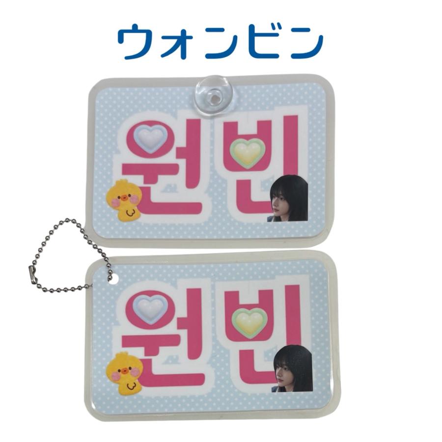 ウォンビン RIIZE ライズ ラミネートネーム 2個セット 吸盤 ボール