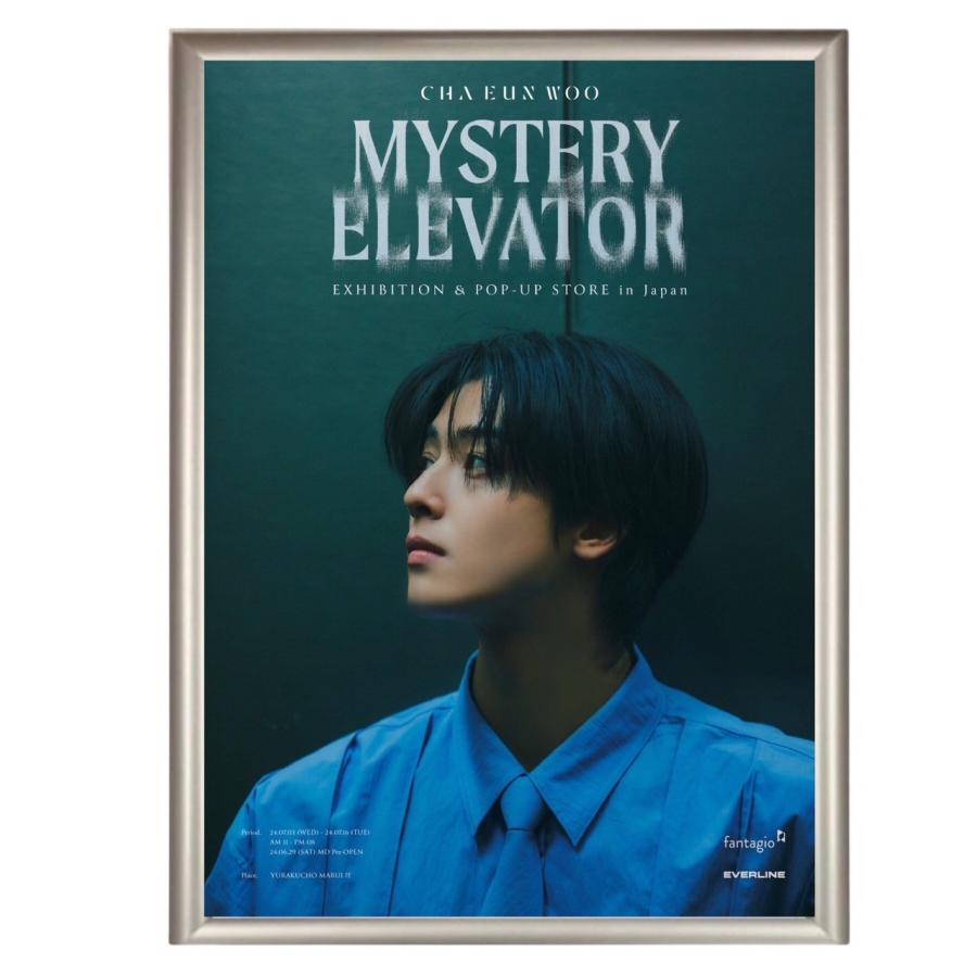 チャウヌ ASTRO アストロ フォトプレート 額入り 写真 A4サイズ 韓流