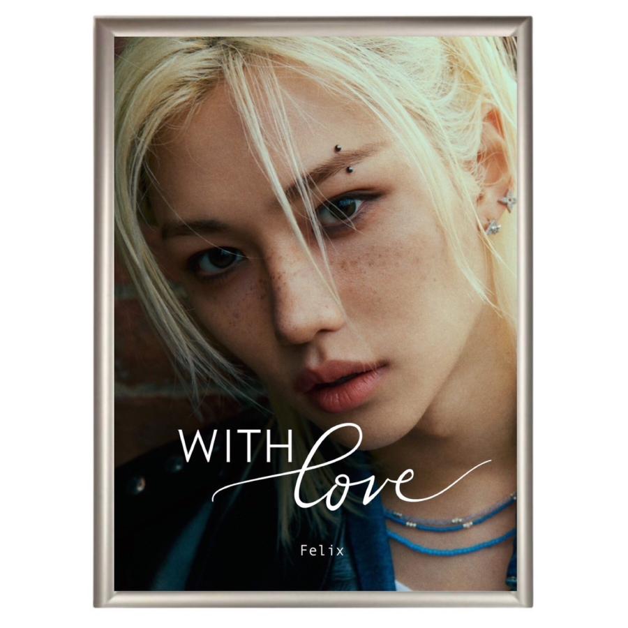 フィリックス StrayKids ストレイキッズ スキズ フォトプレート 額入り