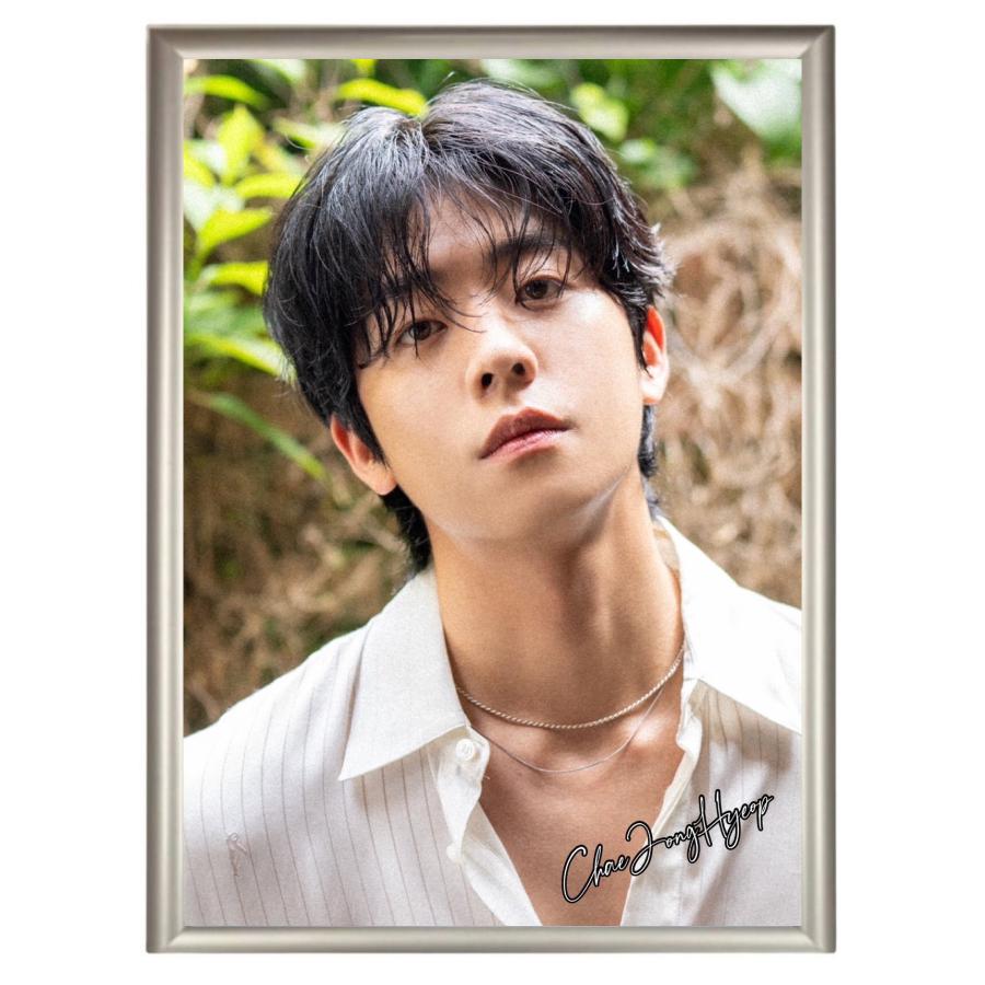チェジョンヒョプ フォトプレート 額入り 写真 A4サイズ 韓流 グッズ