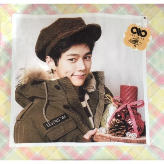 中綿無し】エル INFINITE インフィニット クッション カバー 布製 両面  