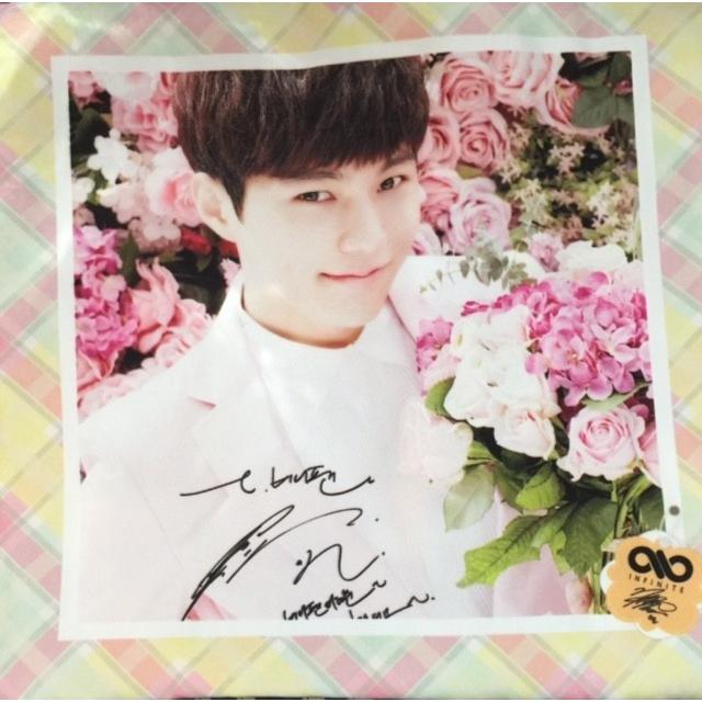 中綿無し】エル INFINITE インフィニット クッション カバー 布製 両面  