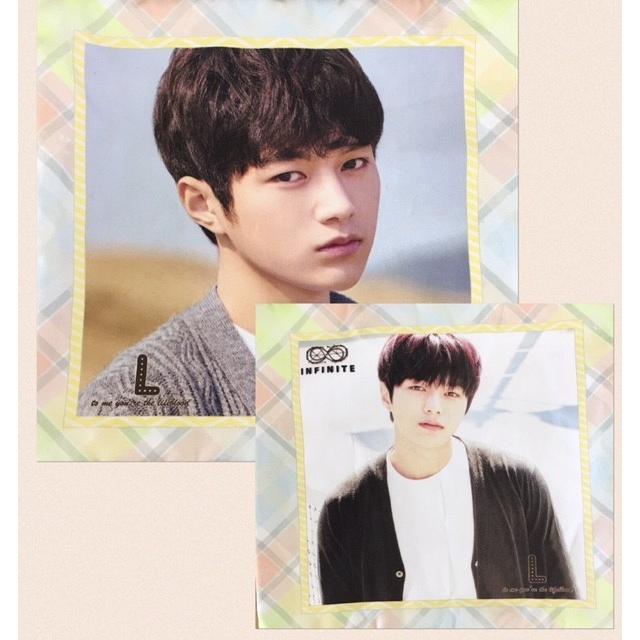 中綿無し】エル INFINITE インフィニット クッション カバー 布製 両面  