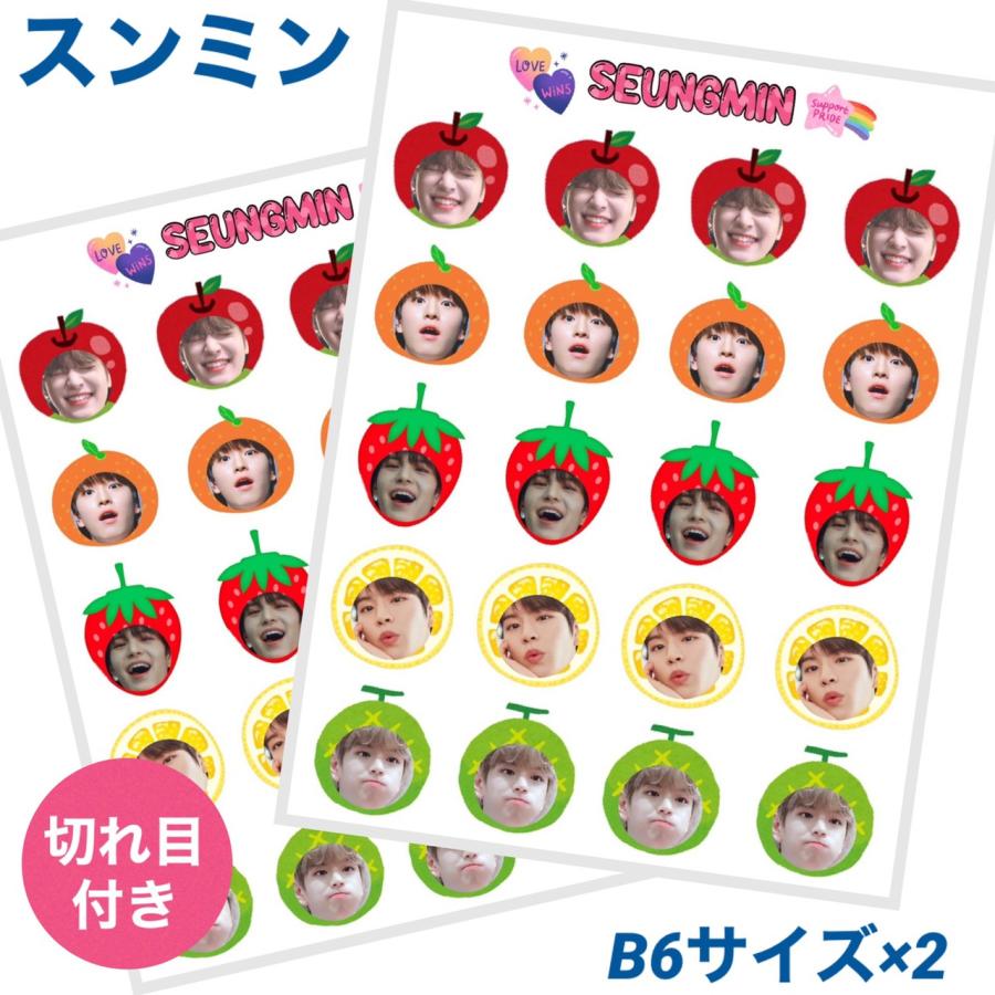 スンミン STRAYKIDS ストレイキッズ スキズ フルーツ 切れ目付き ミニ