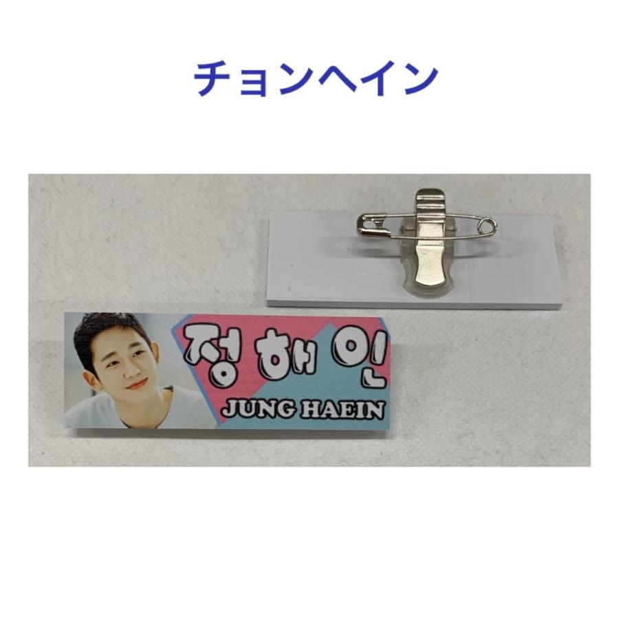 チョンヘイン 名札 韓流 グッズ njv055-1 : アンジーソウル - 通販