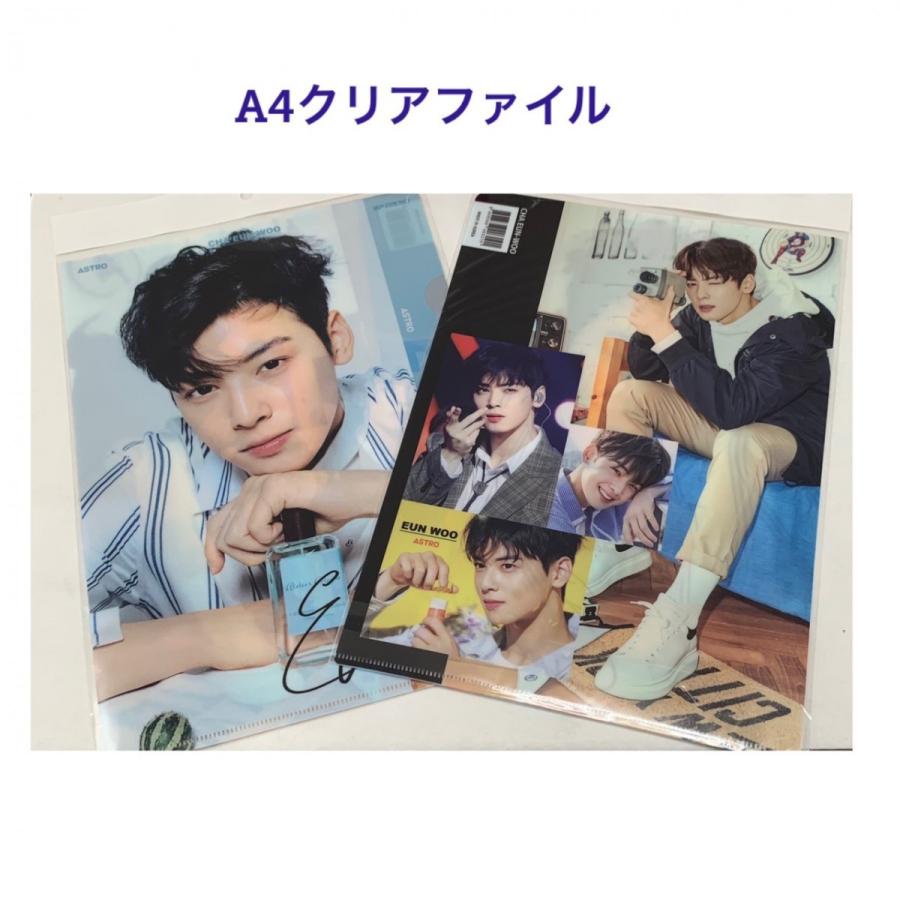 チャウヌ Astro アストロ クリアファイル 韓流 グッズ Tk055 3 Tk055 3 アンジーソウル 通販 Yahoo ショッピング