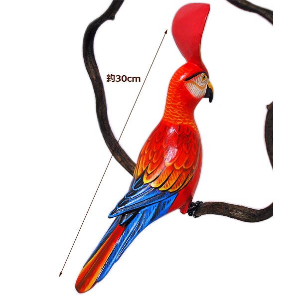 南国のカラフルバード吊り下げ 木の蔓の枠 L［鳥体長約30cm