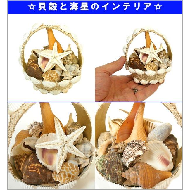 アジアン雑貨 バリ雑貨 ヒトデと貝殻のインテリア ホワイト 海星