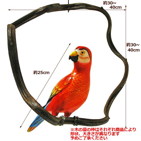 南国のカラフルバード吊り下げ 木の蔓の枠 D［鳥体長約23~25cm