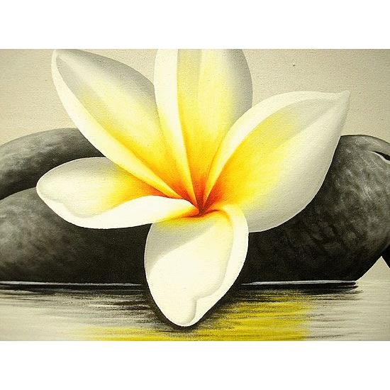 バリアート絵画 LL 横 『水辺のフランジパニ w/ stones』 白 額横約