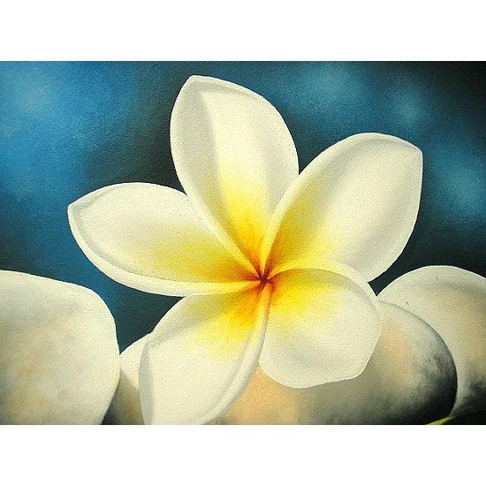 stones』　ホワイト　額横約73ｃｍｘ63ｃｍ おしゃれな アジアンインテリア 【島戸】 お花の絵 アジアン雑貨