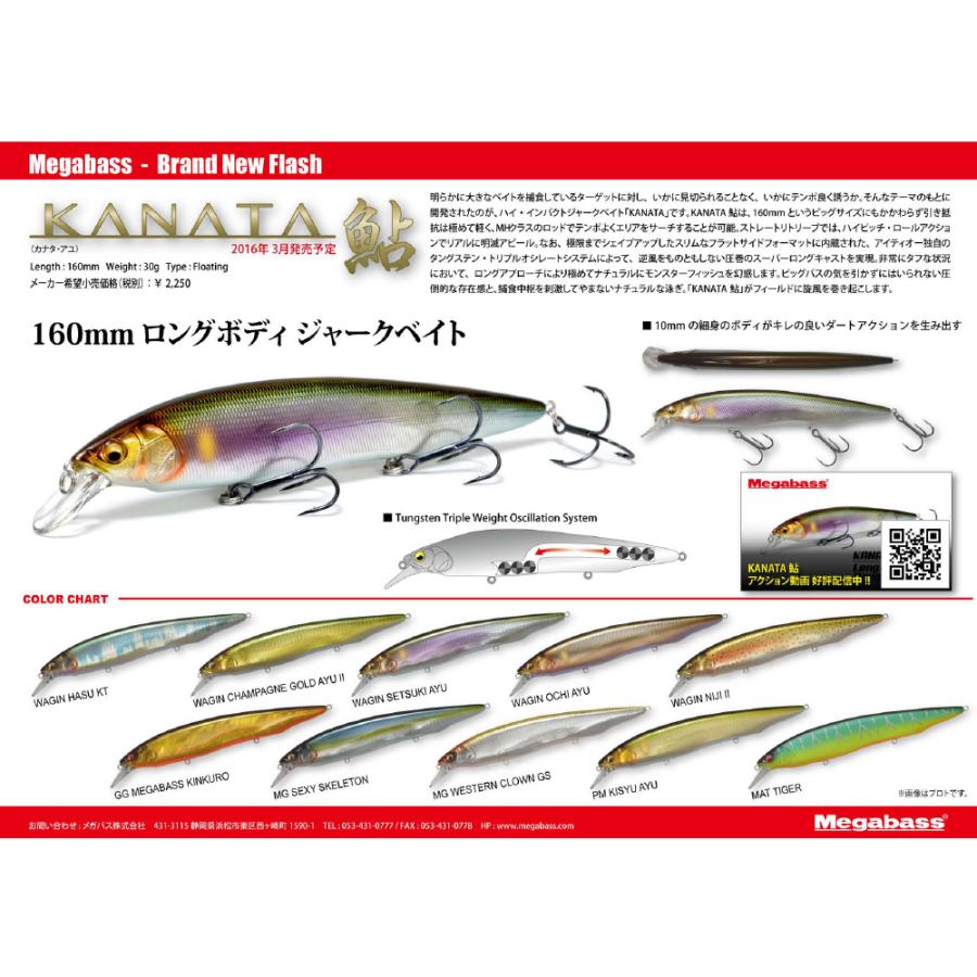メガバス KANATA 鮎(カナタアユ) 和銀ハスKT [メール便] : 釣具の