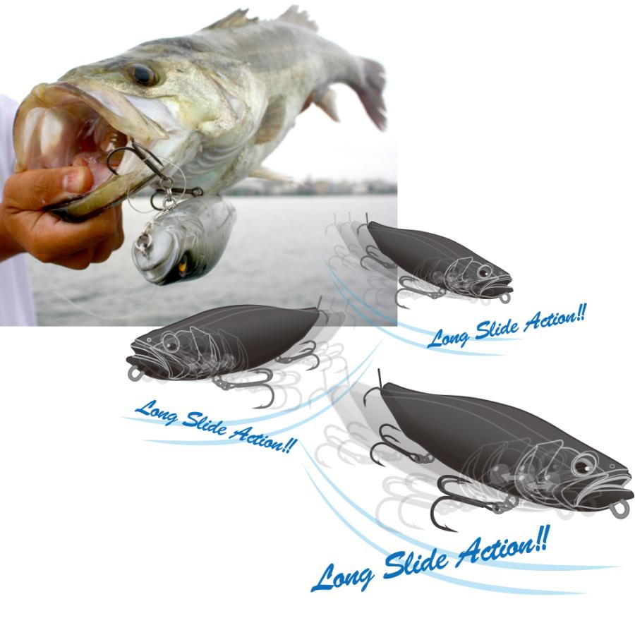 メガバス MEGADOG(メガドッグ) ライブシャイナー [4] : 釣具のアングル  