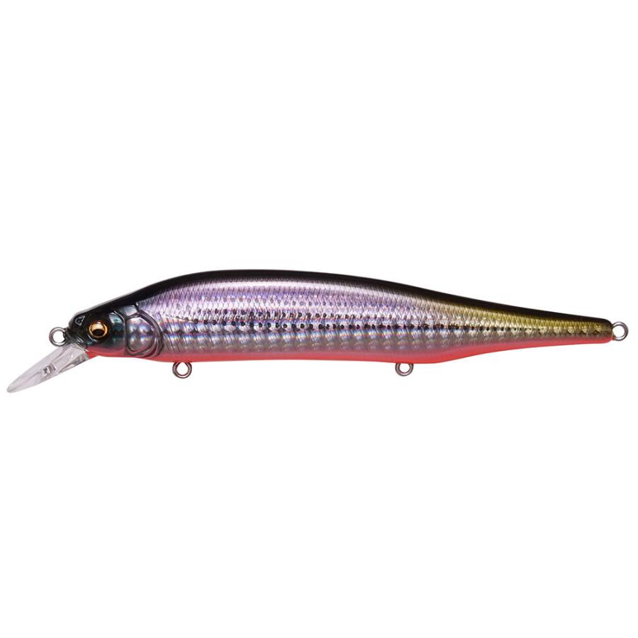 新品 Megabass メガバス X-80 MAGNUM X-80 マグナム 限定カラー SP-C