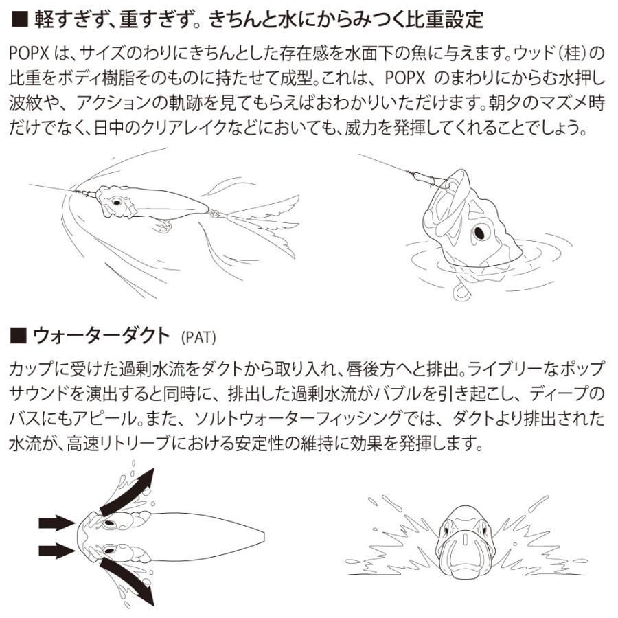 2024大阪受注会限定】メガバス POPX (ポップX) DRAGON FISH G [メール