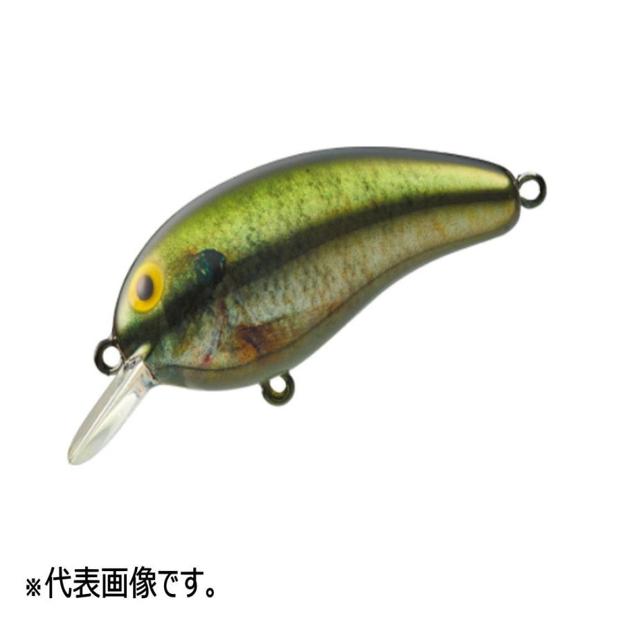 メール便対応 ダイワ ピーナッツii Ssr リアルメタリックギル 代引は送料別途 21年新製品 釣具のアングル 通販 Paypayモール