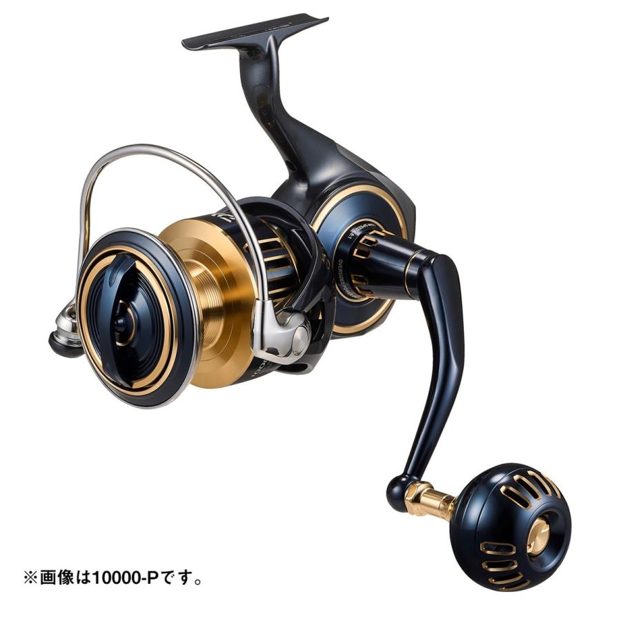 DAIWA（ダイワ） （25年3月新商品） 25 カルディア LT5000-C （小型