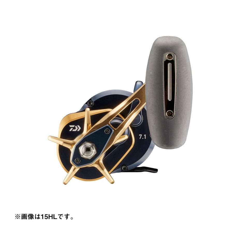 22 ソルティガ 15L Amazon | ダイワ(DAIWA) ベイトリール 22 ソルティガ 15L-SJ