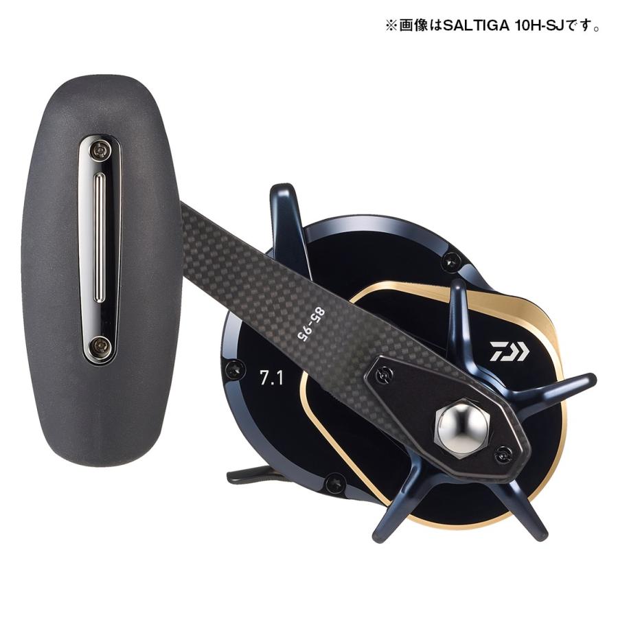 ダイワ 両軸リール 25ソルティガ 10HL-SJ [4][2026年新製品] : 釣具の
