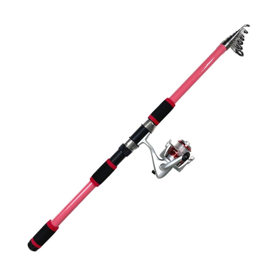 ライズウェイ ロッド PG サビキING セット 360 [5] : 釣具のアングル