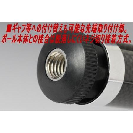 DAIWA（ダイワ） ランディングポールII 磯玉網 45-50 [5] : 釣具の