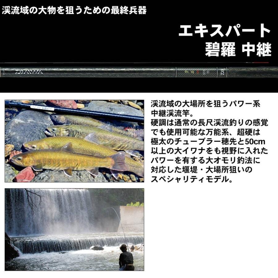 DAIWA（ダイワ） ロッド エキスパート 碧羅 中継 硬調 85M [5] : 釣具