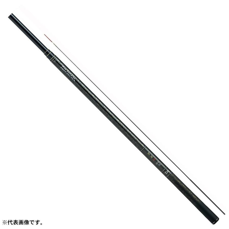 DAIWA（ダイワ） ロッド エキスパート 碧羅 中継 超硬 80M [5] : 釣具