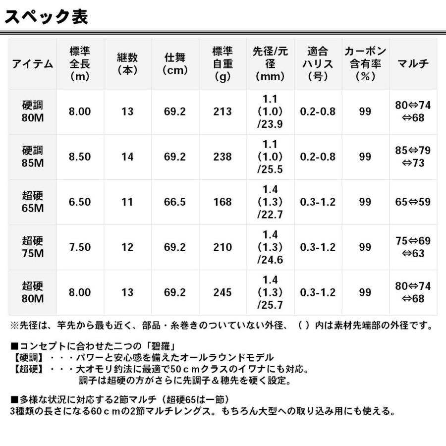 DAIWA（ダイワ） ロッド エキスパート 碧羅 中継 超硬 80M [5] : 釣具