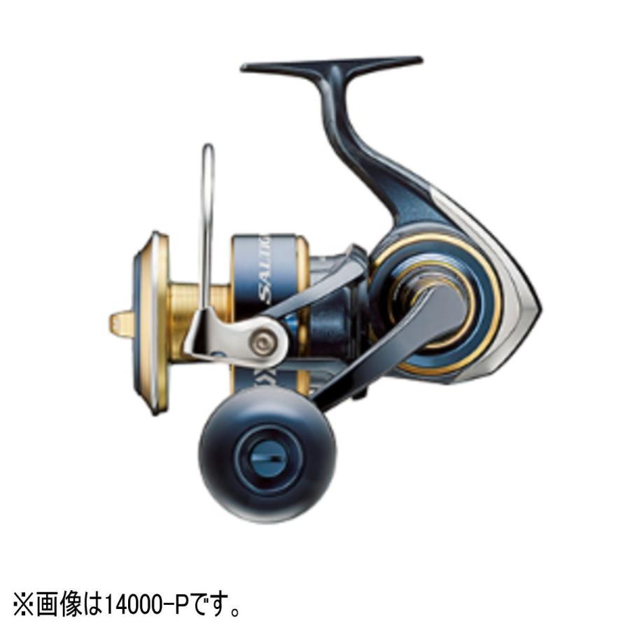 送料無料4 ダイワ リール ソルティガ P 釣具のアングル 通販 Paypayモール