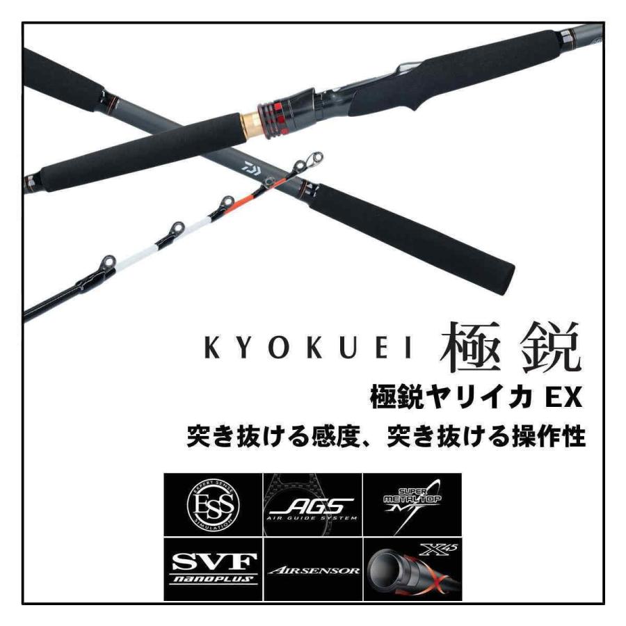 DAIWA（ダイワ） ロッド 極鋭ヤリイカEX 91-165 [6・大型