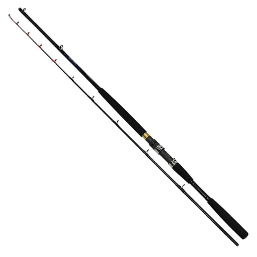 DAIWA（ダイワ） ロッド ヒラメバケX 210 [5] : 釣具のアングル - 通販