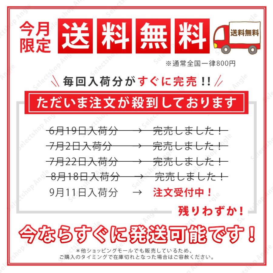 首掛け扇風機 羽なし 軽量 ネックファン 2025 小型 扇風機 風量調節 静か 静音 おしゃれ ネッククーラー 熱中症対策 充電 | ブランド登録なし | 23