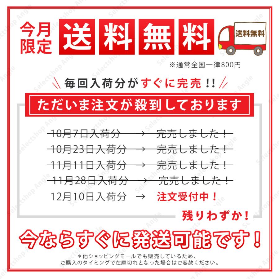 レインコート 上下 レインスーツ  自転車 カッパ メンズ レディース レインウエア 通勤 通学 防水 | ブランド登録なし | 16