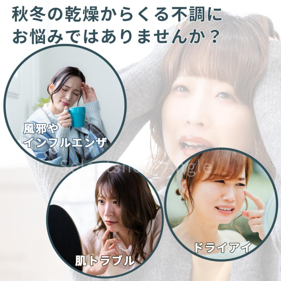 加湿器 卓上 超音波式 usb 卓上加湿器 コードレス 机 寝室 車 小さい LEDライト 静音 おしゃれ | ブランド登録なし | 05