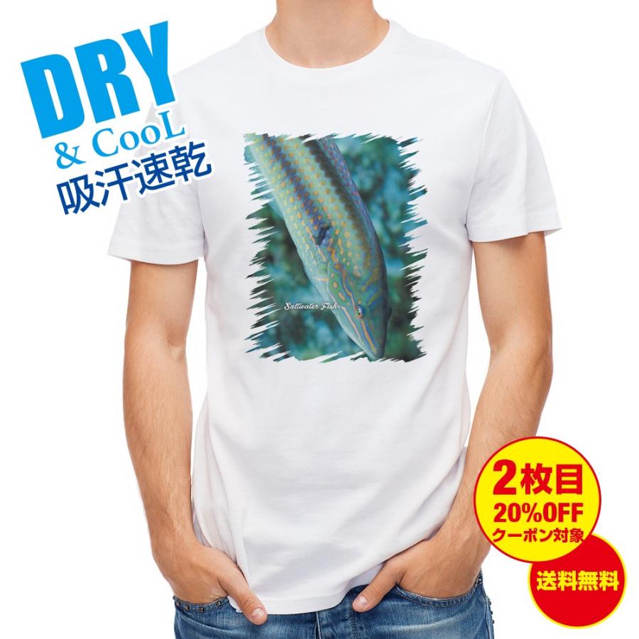Tシャツ 熱帯魚 No 8 キュウセンベラ 釣り 魚 ルアー 送料無料 メンズ ロゴ 文字 春 夏 秋 インナー 安い 面白い 大きいサイズ 洗濯 T Angler S Case アングラーズケース 通販 Yahoo ショッピング