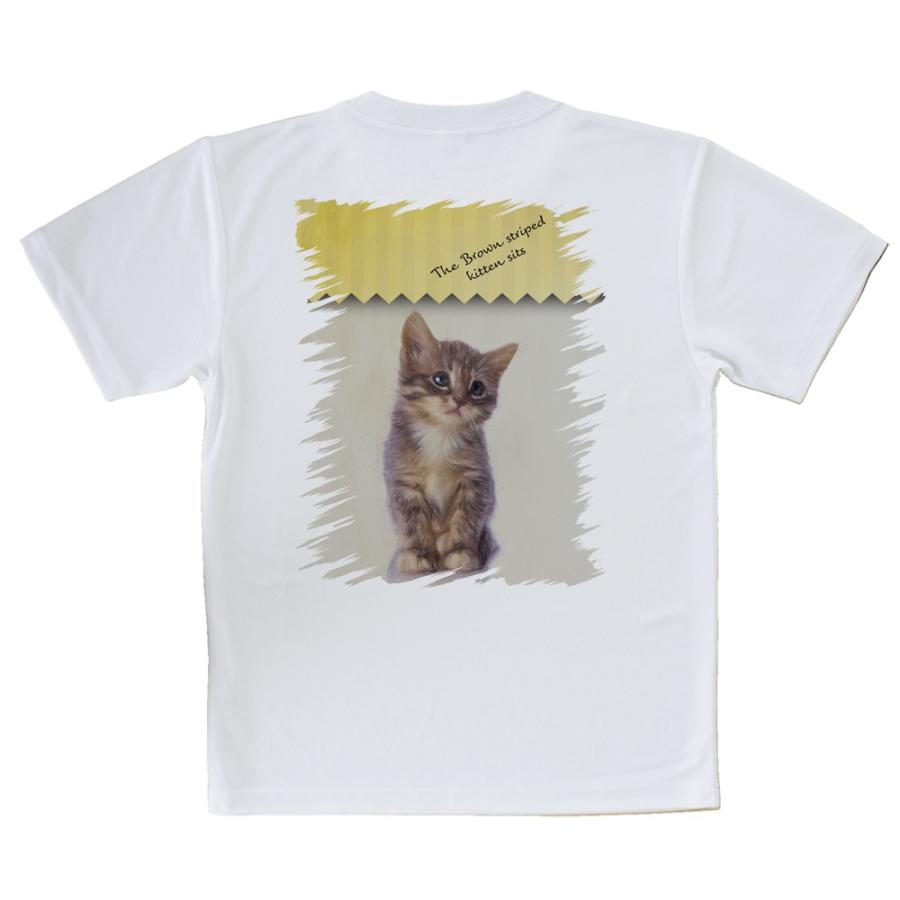 Tシャツ Kitten Sits 座る子猫 送料無料 レディース 猫 ネコ 雑貨 春 夏 秋 インナー 安い 面白い 大きいサイズ 洗濯 ポリエステル T Angler S Case アングラーズケース 通販 Yahoo ショッピング