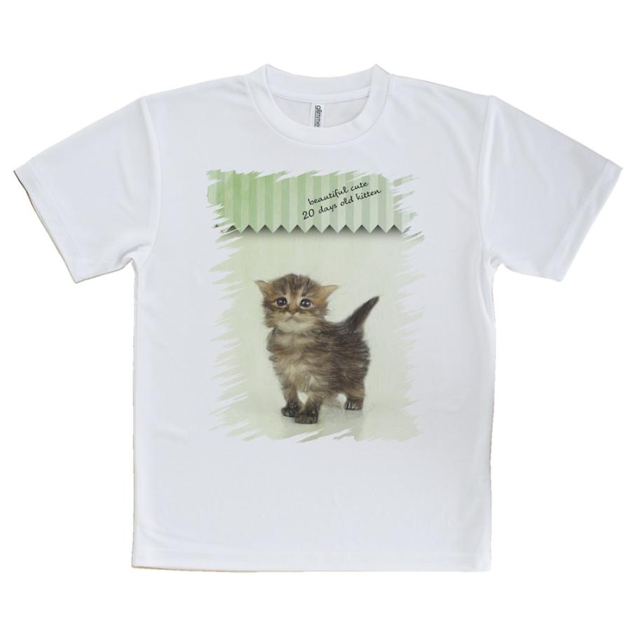 Tシャツ 生後日の可愛い子猫 イラスト 送料無料 レディース 猫 ネコ 雑貨 春 夏 秋 インナー 安い 面白い 大きいサイズ 洗濯 ポリエステル T Angler S Case アングラーズケース 通販 Yahoo ショッピング