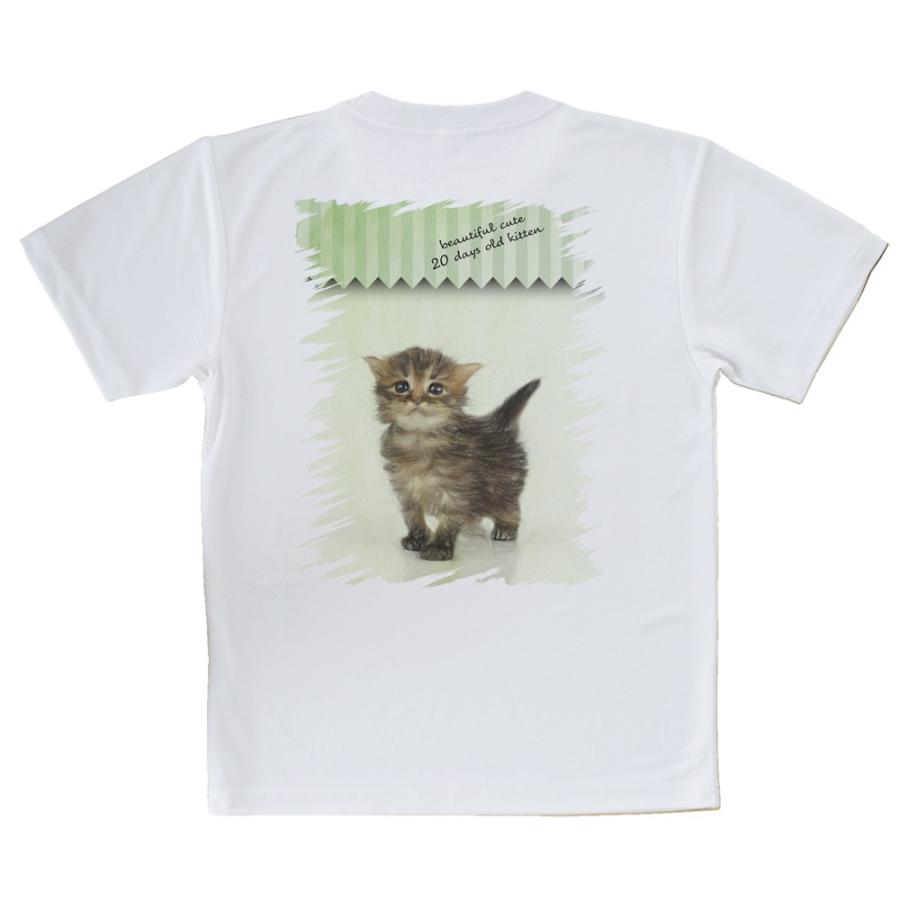 Tシャツ 生後日の可愛い子猫 イラスト 送料無料 レディース 猫 ネコ 雑貨 春 夏 秋 インナー 安い 面白い 大きいサイズ 洗濯 ポリエステル T Angler S Case アングラーズケース 通販 Yahoo ショッピング