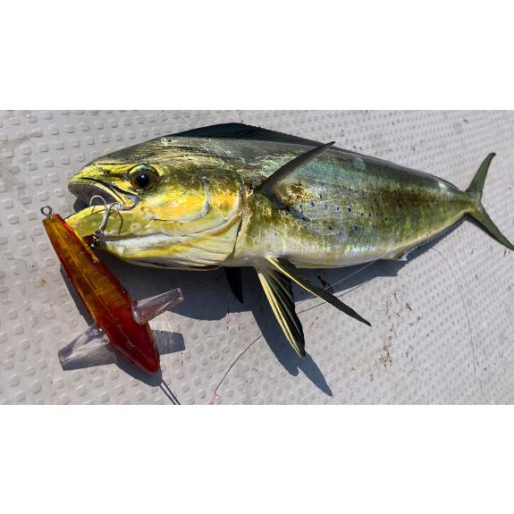 新品 リトルジャック パニッキングサバイバー GOLD 28g 40g 2点 全5色】リトルジャック パニッキングサバイバー 40g LITTLE JACK