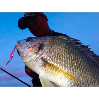 ブルーブルー シーライドミニ 3g　#12 レモネードオレンジ　メール便OK｜anglers-sarai｜05