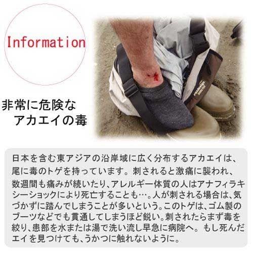 Pazdesign パズデザイン PSL・レイガードII SAC-029 サイズ 3L  