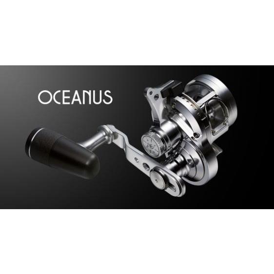 エバーグリーン　オケアノス