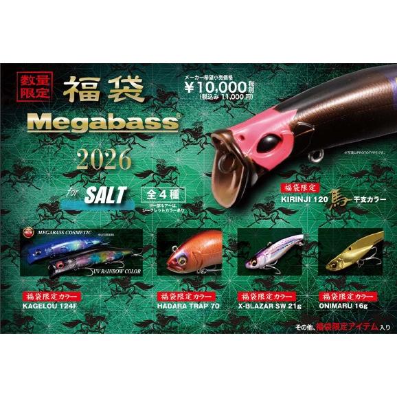 メガバス セット ビジョンワンテン 2026 福袋 限定カラー ビジョン110 Megabass メガバス 2026 メガバス福袋 ソルトセット (前払い、代引き