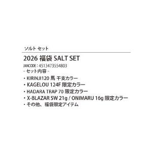 Megabass メガバス 2026 メガバス福袋 ソルトセット (前払い、代引き