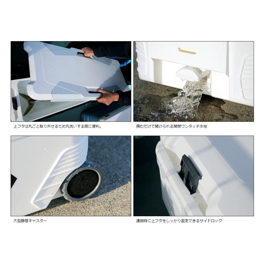 DAIWA（ダイワ） トランクマスターHD2 VSS 6000 ゴールド