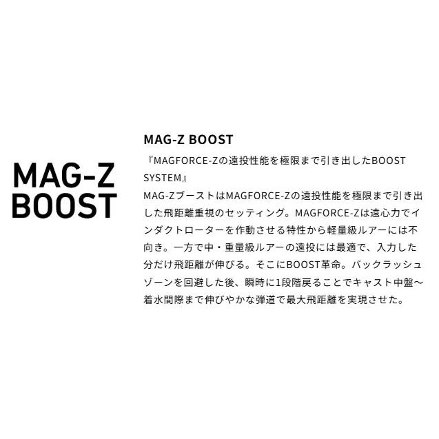 DAIWA（ダイワ） RCSB MAG-Z BOOST 1000 G1 シルバー スプール SLP